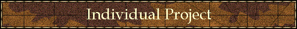 Individual Project