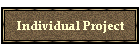 Individual Project