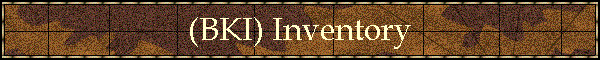 (BKI) Inventory