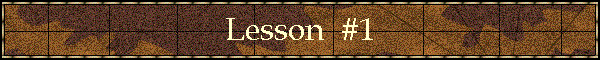 Lesson  #1