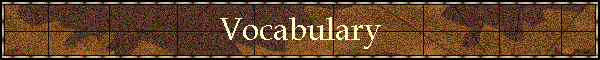 Vocabulary