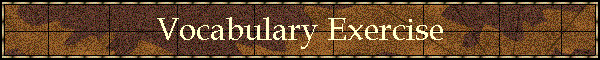 Vocabulary Exercise