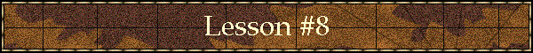 Lesson #8