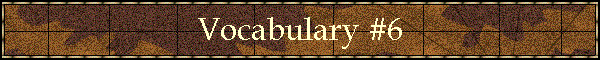 Vocabulary #6