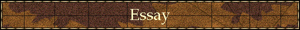 Essay