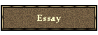 Essay