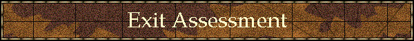 Exit Assessment