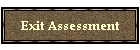 Exit Assessment