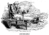 AgedBeggarman.gif (53967 bytes)