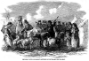 Cattle.gif (153968 bytes)