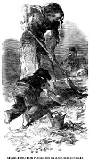 Searching.gif (63459 bytes)