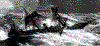 wreck.gif (18433 bytes)