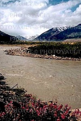 black rapids-a.jpg (48350 bytes)