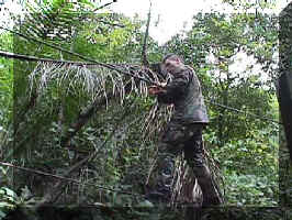 jungle-2.jpg (13535 bytes)