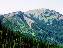 olympic hurricane.jpg (25519 bytes)