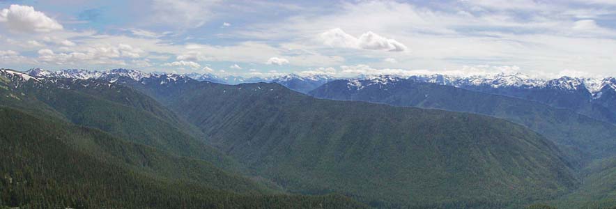 olympic lillian.jpg (31820 bytes)