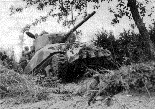 Tank.gif (7881 bytes)